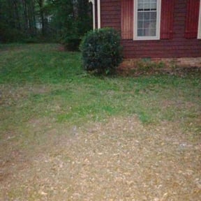 Bush Trimming by Garza Lawn Care Service. reviewed on August 17, 2025