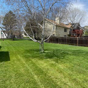 Leaf Removal by Martin Lawn Care LLC reviewed on November 27, 2025