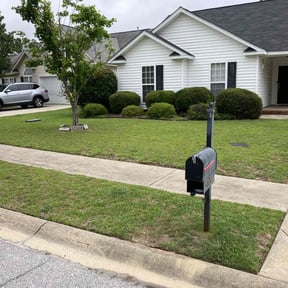 yard maintenance by Iscape lawn professionals LLC reviewed on August 15, 2025