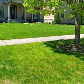 residential landscaping by Stormont preservation reviewed on January 6, 2026