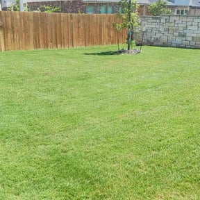 yard work by Like A Bawse Llc reviewed on August 15, 2025