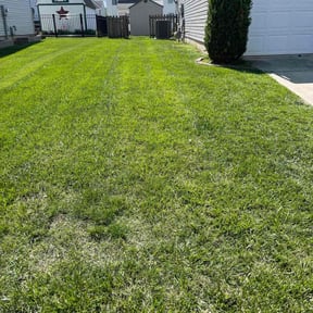 residential landscaping by Pro-sargent preservation llc reviewed on August 20, 2025