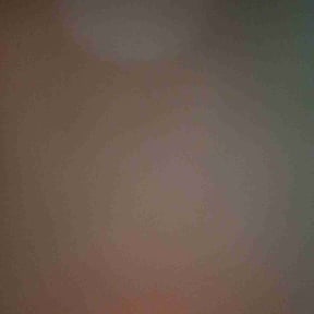 Bush Trimming by Salamanca's Landscaping LLC  reviewed on December 9, 2025