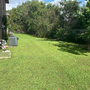 yard care by South Down South reviewed on November 22, 2025