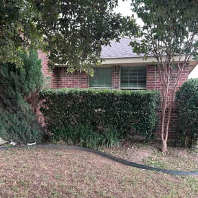 Bush Trimming by REMAVAIL PRO LAWN reviewed on June 6, 2026
