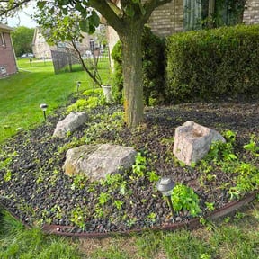 Bush Trimming by J&amp;M lawn care reviewed on July 1, 2026