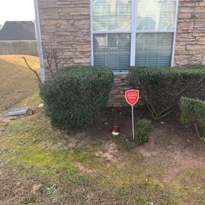 Bush Trimming by NJS Mow&amp;Snow reviewed on May 10, 2024