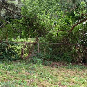 Bush Trimming by Star of Texas Landscape reviewed on August 19, 2025