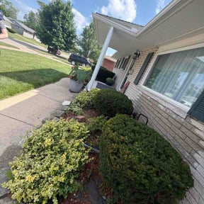 Bush Trimming by Browns lawn care reviewed on July 5, 2026
