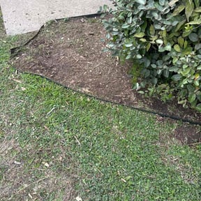 Flower Bed Weeding by Salaam Lawn Care reviewed on June 13, 2026
