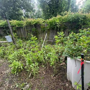 Flower Bed Weeding by Gs lawn care reviewed on June 12, 2026