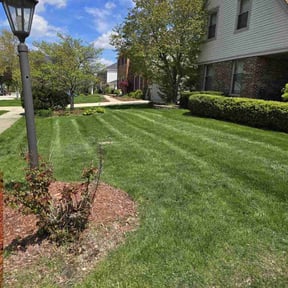 yard work by Tony Top-Notch Mowing reviewed on August 21, 2025