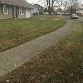 Leaf Removal by José Peraza All House Service reviewed on September 28, 2025