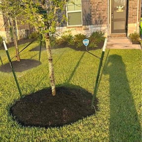 Mulching by Pulgarcitos Lawns R&amp;R reviewed on March 4, 2026