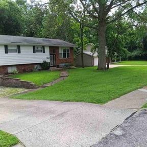 yard maintenance by DeFeat It Landscaping reviewed on August 16, 2025