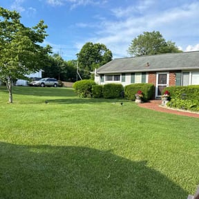 landscape maintenance by Thompsons Mowing Company reviewed on August 14, 2025