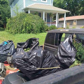Bush Trimming by Smith lawncare reviewed on August 3, 2026