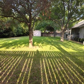 grass cutting by Mighty Mavericks Yard and Landscaping Heroes reviewed on June 30, 2025
