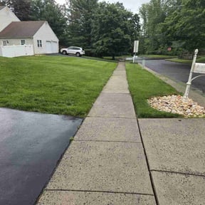 yard care by The Perfect Lawn reviewed on August 18, 2025