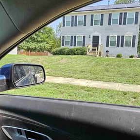 Bush Trimming by Delgado Landscaping and Garden reviewed on March 7, 2024