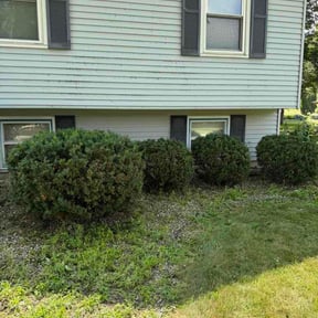 Bush Trimming by Central Property Maintenance reviewed on July 23, 2026