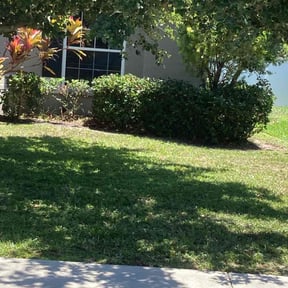 Bush Trimming by Right On Time services reviewed on August 17, 2025