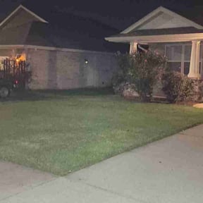 Bush Trimming by Chase property management and improvements llc reviewed on August 19, 2025