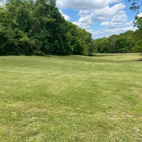 grass maintenance by GoGreen Lawn Service  reviewed on August 19, 2025