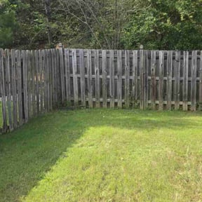 Bush Trimming by Dads Lawn Services reviewed on August 20, 2025