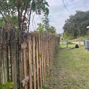 Bush Trimming by Lindsay’s lawncare reviewed on August 15, 2025