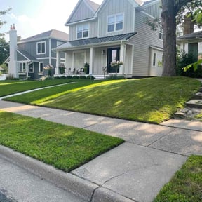yard work by Mr.jayy.boy.landscape reviewed on August 15, 2025