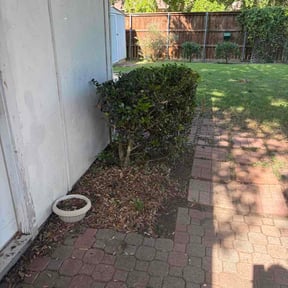 lawn care services by jadeandarmani reviewed on August 15, 2025