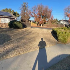 Bush Trimming by AWWsome lawncare and Landscaping llc reviewed on August 21, 2025