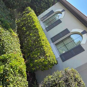 Bush Trimming by Farley's Lawn &amp; Land Solutions reviewed on July 27, 2026
