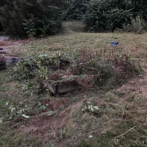 lawn maintenance by Thomas Kelly Home Services reviewed on April 22, 2024