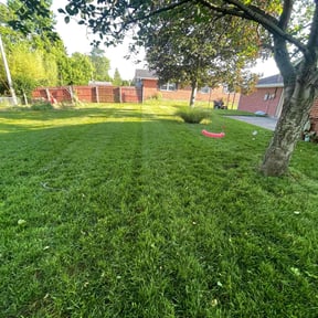 landscape maintenance by Mr. Mower reviewed on December 11, 2025