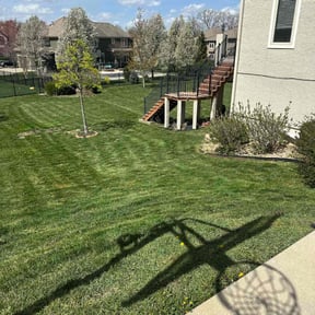 lawn care by YardGoat Mowing reviewed on May 4, 2025