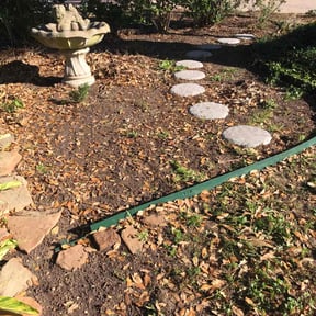 Leaf Removal by Mow Pro reviewed on September 11, 2025