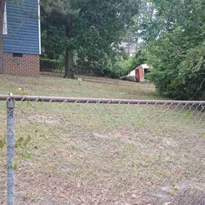 Leaf Removal by Greeley Greenscapes reviewed on October 2, 2025