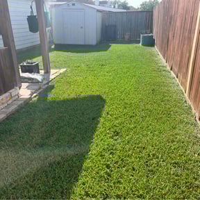 yard service by A Closer Look Residential Inspections LLC reviewed on August 21, 2025