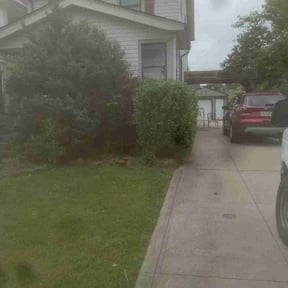Bush Trimming by Precision Landscaping & more reviewed on August 16, 2025