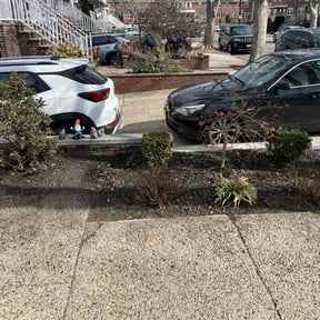 Bush Trimming by Awesome Lawns and More LLC reviewed on August 16, 2025