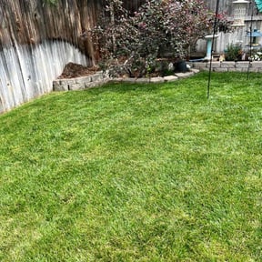 landscaping by K&G Lawncare reviewed on August 19, 2025