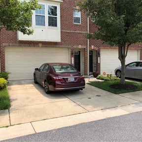 landscaping services by Mane Hand Handyman Services LLC reviewed on October 5, 2024