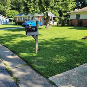 yard work by Lincoln Landscape reviewed on March 25, 2024