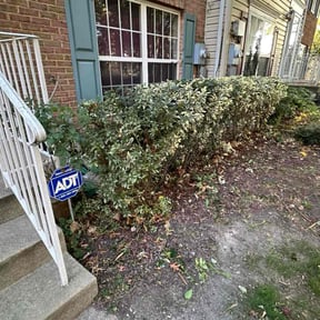 Bush Trimming by Lawn Squatch reviewed on December 18, 2025