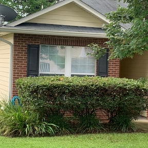 Bush Trimming by MPV Landscaping reviewed on August 21, 2025