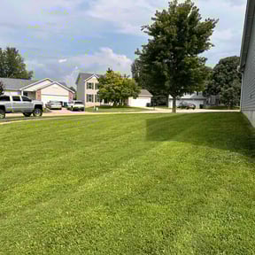 yard maintenance by Quality lawn care reviewed on August 21, 2025