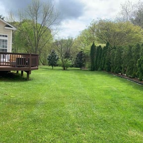 landscape maintenance by DMD LAWN RESCUE reviewed on August 15, 2025