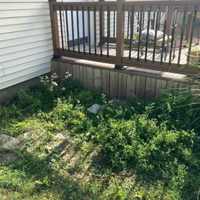 Flower Bed Weeding by Gerson Lawn Services reviewed on June 16, 2026